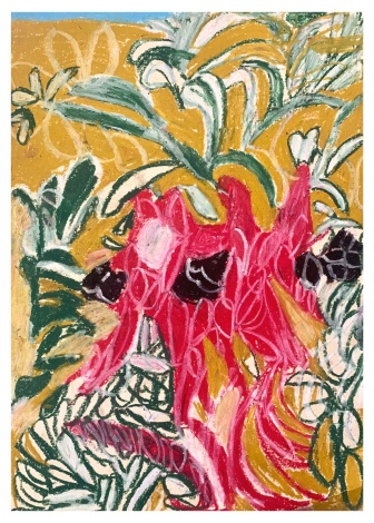 Paul's pastel on paper artwork 'Sturt's Desert pea'. The plant is red against a backdrop of pastel yellow.