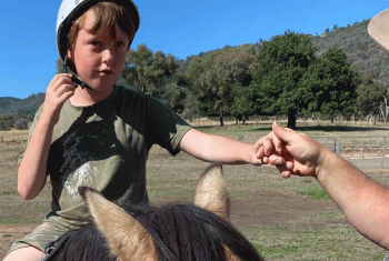 Perry riding horse 